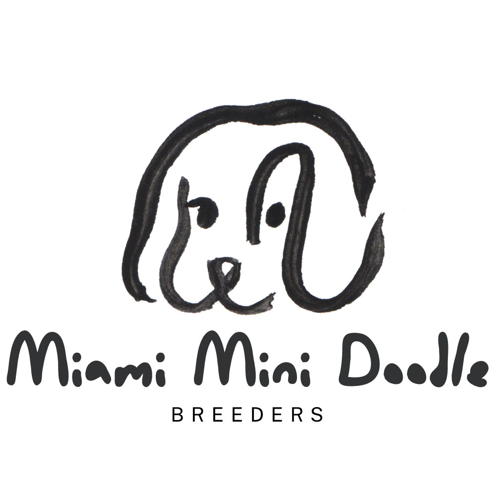 Miami Mini Doodle Logo